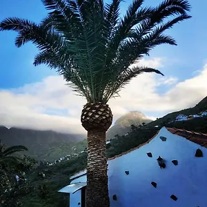 finca-lomo-grande.in-canary-islands.com/